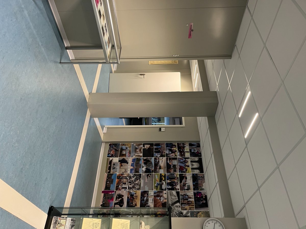 "Instituto de LUGANO" | IMG 1183